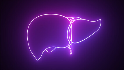 Colorful neon line Human organ liver icon isolated on black background. Neon medical animation -...