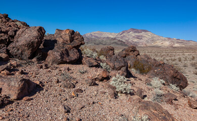 Fototapeta na wymiar Stone desert on the background of mountains, California, Death Valley National Park