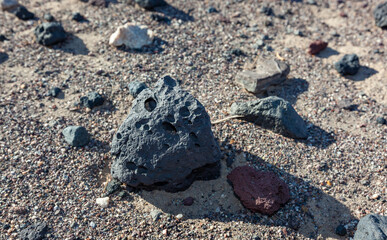 Desert vegetation, USA, California, Death Valley National Park