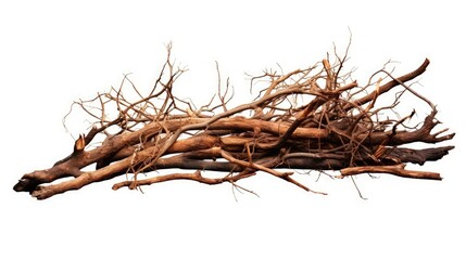 dry branches pile for fire on dirt isolated on white background - obrazy, fototapety, plakaty