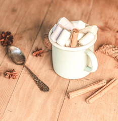 Christmas banner with white cup with hot chocolate and marshmallows on with cinnamon sticks and fir xmas tree branches with beautiful garland lights. New year celebration