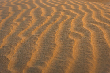 Close up orange sand texture of sand dunes in Great Thar Desert in in Jaisalmer, Rajasthan, India.