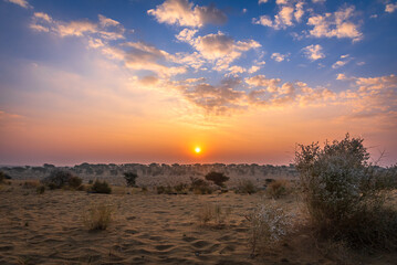 View during sunrise at great thar desert in Jaisalmer, Rajasthan, India. - obrazy, fototapety, plakaty