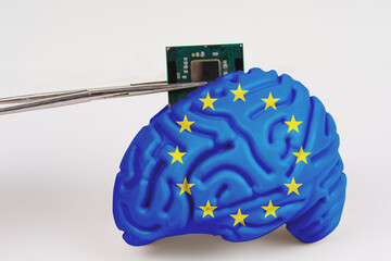 On a white background, a model of the brain with a picture of a flag - EU