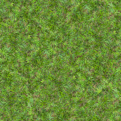 marijuana leaves and butts texture