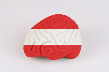 On a white background, a model of the brain with a picture of a flag - Austria