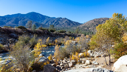 View of a mountain river in a valley in the mountains Sierra Nevada, California, USA - obrazy, fototapety, plakaty