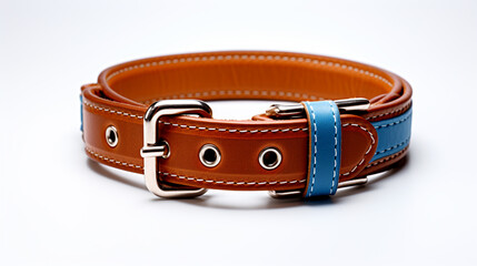 Brown leather Dog Collar  On a White Background