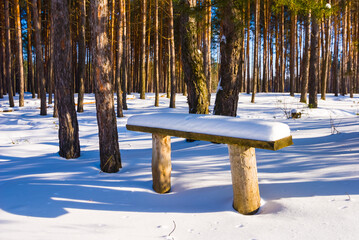 small wooden bench stay among winter snowbound forest