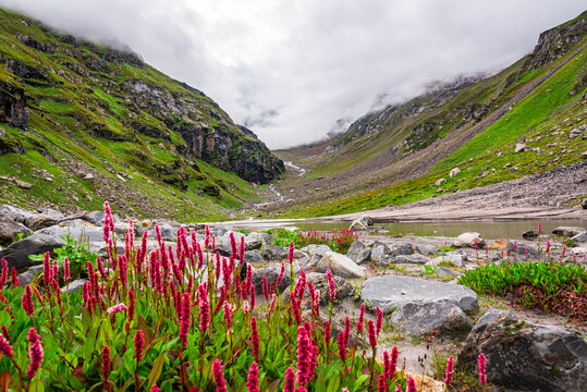 View enroute to Hampta pass hiking trail near 'Balu ka ghera' camp site in Manali, Himachal Pradesh, India.