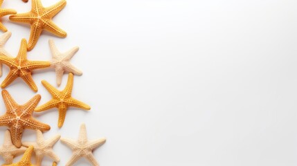 starfish on a white background with space for text.