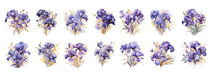 Watercolor violtet iris with gold elements isolated for wedding decoration
