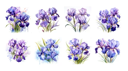 Deurstickers Watercolor violtet iris with gold elements isolated for wedding decoration © Kislinka_K