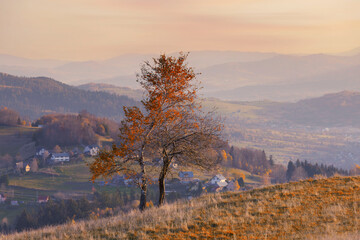 Krajobraz jesienny w Beskidach. Mgliste góry o świcie. Relaks, wypoczynek i pastelowy wschód...