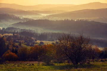 Krajobraz jesienny w Beskidach. Mgliste góry o świcie. Relaks, wypoczynek i pastelowy wschód słońca. - obrazy, fototapety, plakaty
