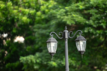 Lamp post in the garden with tree and green leaves background