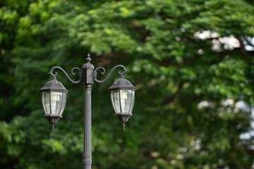 Lamp post in the garden with tree and green leaves background