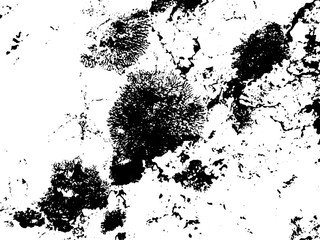 Rustic grunge vector texture with grain and stains. Abstract noise background. Weathered surface. Dirty and damaged. Detailed rough backdrop. Vector graphic illustration with transparent white. EPS10.