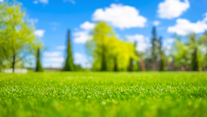 Green grass with blue sky and white clouds in the background, selective focus