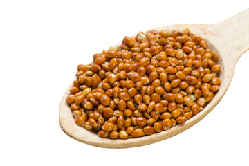Wooden spoon with dried grain of millet, isolated.