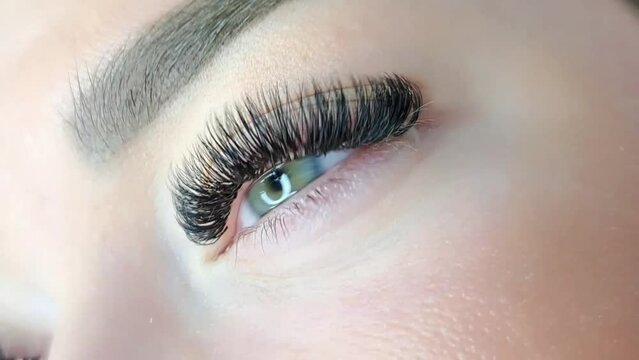 Close up of eye with eyelash extensions ,beauty salon treatment ,2d volume, 3d volume, classical lashes,Russian volume,megavolume, new set.