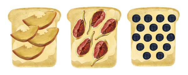 Set of hand drawn watercolor food illustrations. Toast with ripe fruits, pieces of peach, figs, blueberries. flat illustration of eco food, nutrition