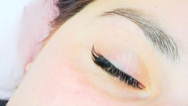 Close up of eye with eyelash extensions ,beauty salon treatment ,2d volume, 3d volume, classical lashes,Russian volume,megavolume, new set.
