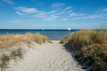 Fototapeta na wymiar Path between the sand dunes overlooking the sea and a ship