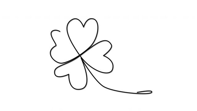 Four-leaf clover self drawing animation. Clover leaf appearing animated