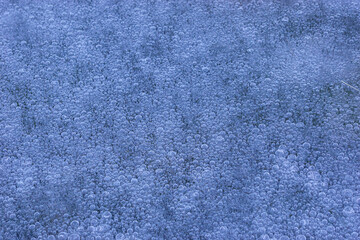 Obraz premium Abstract background of bubbles of air under layer ice in clear water lake