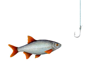 Fish and hook on fishing line. Watercolor drawing of sharp equipment on white background