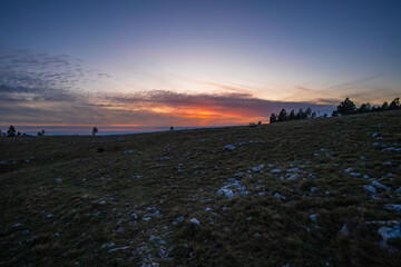 Atmospheric evening on a meadow in the Croatian mountains.
