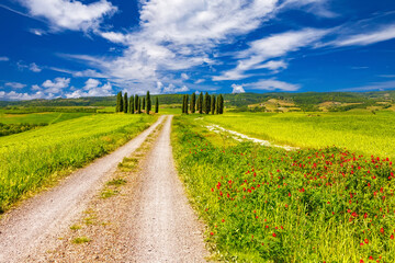 Fototapeta na wymiar Tuscany landscape at spring sunny day, Italy