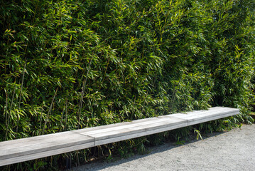 Fototapeta premium Bench with bamboo in the public garden. Beautiful natural park in the summer. Simple wooden bench in Japanese style in an outdoor park on a sunny day