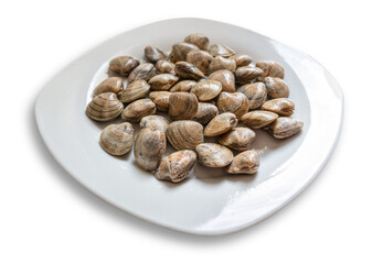 Plate of uncooked fine clams isolated from transparent background