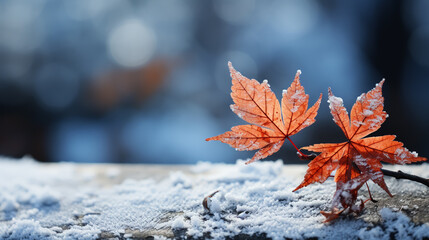 winter background with frozen leaves hanging