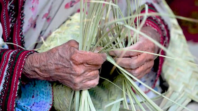  Slow Motion Close-Up Shot Of Old Lady Hands Weaving Reeds To Make Basket In Pakistan