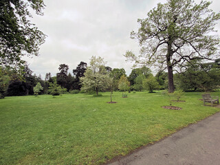 A view of a Park in London in the Spring