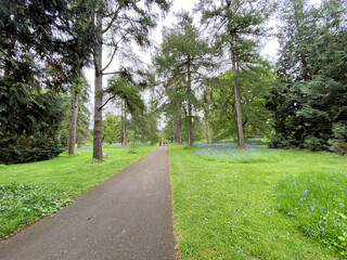 A view of a Park in London in the Spring