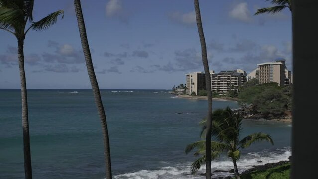 Hotel resort along beach with palms blowing in the wind maui hawaii
