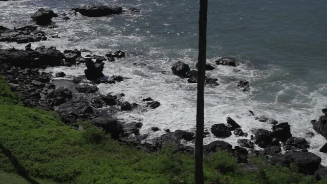 slow motion waves crashing into lava rocks behind palm tree maui hawaii