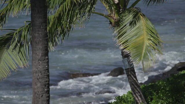 slow motion waves crash onto lava rocks out of focus maui hawaii