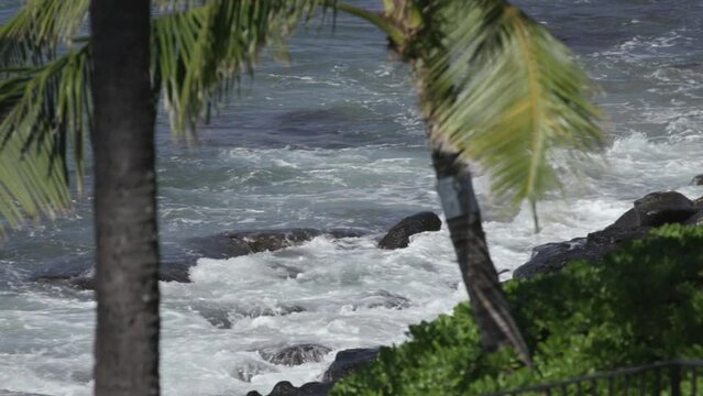 Slow motion waves crash out of focus on lava rocks behind palm trees maui hawaii