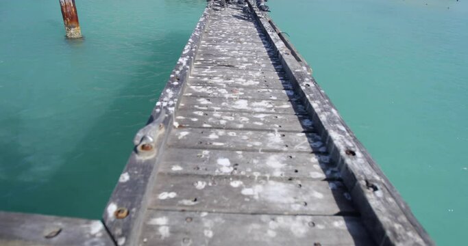 Seagulls on narrow dock flying away