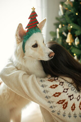 Happy woman in cozy sweater hugging cute white dog in festive accessory on background of stylish christmas tree. Winter holidays. Owner and pet playing in festive room. Merry Christmas!