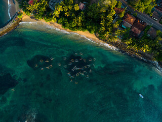 Top view of multiple oruwa outrigged canoe boats fishing in clear turquoise waters near a tropical shoreline, surrounded by lush greenery and a tranquil beach. Blue sea water. Fishermen catch fish.