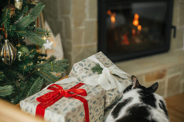 Cute cat sleeping on stylish gifts on modern chair, relaxing on background of burning fireplace and decorated christmas tree. Pet and winter holidays. Atmospheric cozy christmas eve