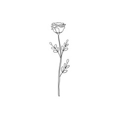 Minimalist linear rose flower. Small botanical leaves branch elements, fine line floral tattoo sketch, ink art. Vector design
