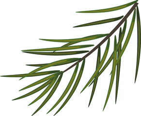 Christmas wreaths on transparent, png. illustration of evergreen fir branch.Traditional holiday garland frame design.