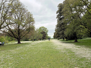 A view of a Park in London in the Spring